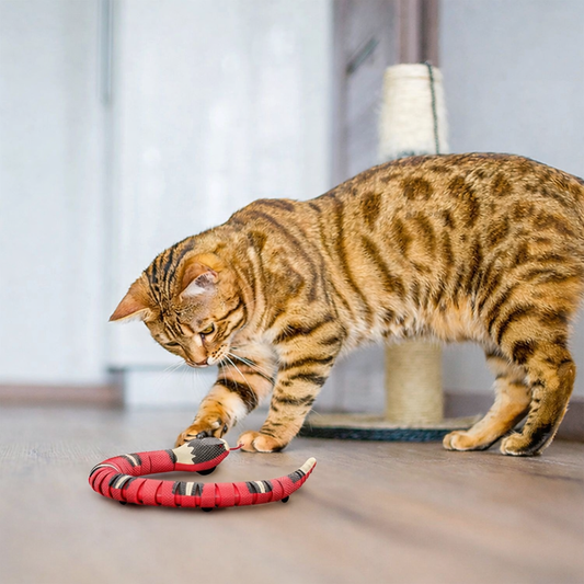 Élan Serpent™ — Intelligent Motion Sculpture for Cats
