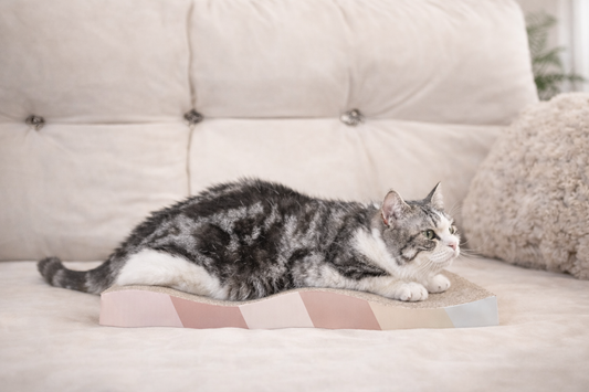 CloudLounge™ Corrugated Cat Scratcher Bed