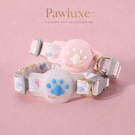 Heart & Paw Print AirTag Pet Collar