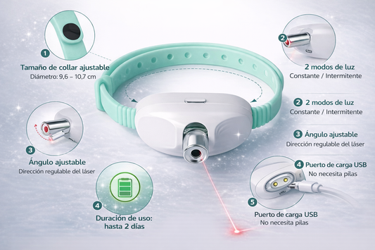 Laser el juguete de tu gato