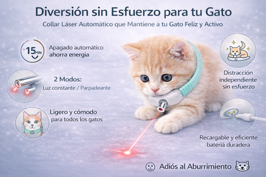 Laser el juguete de tu gato